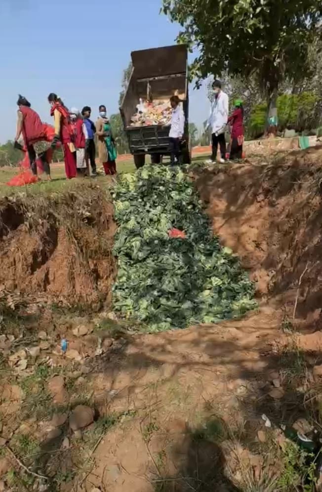 खान अयोग्य देखिएपछि  ८ सय ७० किलो काउली नष्ट