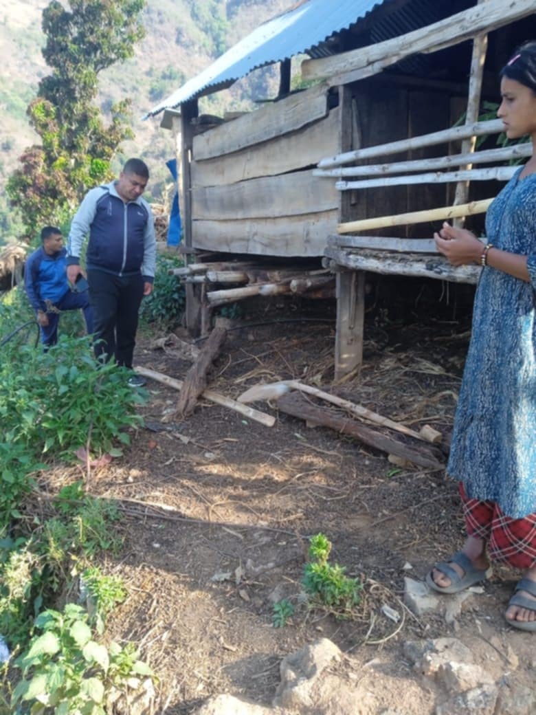 सल्यान कालिमाटीमा बाघले बस्तीमा पसेर बाख्रा मार्न थालेपछि स्थानीय त्रासमा