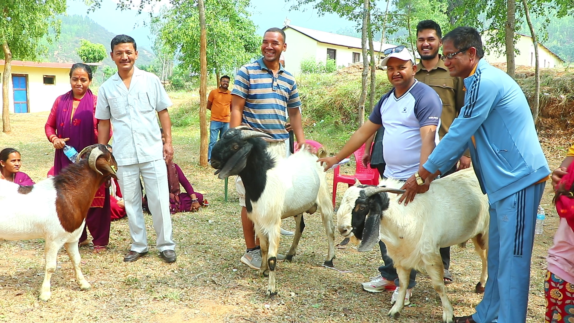 आर्थिक अवस्था सुधार गर्न सल्यानमा विपन्न बर्गलाइ बाख्रा वतरण