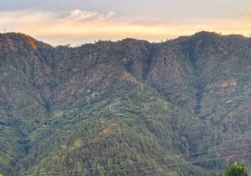 सल्यानमा  भिरबाट लडेर २४ वर्षीया महिलाको मृत्यु