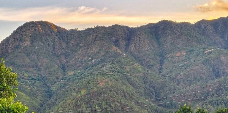 सल्यानमा  भिरबाट लडेर २४ वर्षीया महिलाको मृत्यु