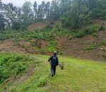 सल्यानमा पहिरोले विद्यालय र बारीमा क्षति, एक परिवार विस्थापित