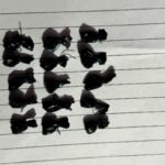 सल्यानमा ब्राउनसुगर सहित चार युवा पक्राउ