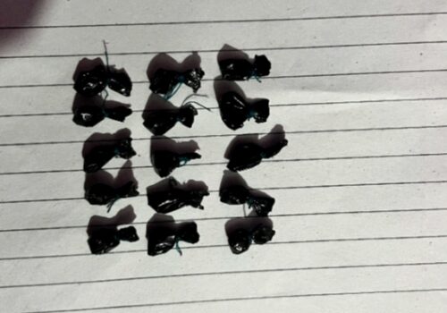 सल्यानमा ब्राउनसुगर सहित चार युवा पक्राउ