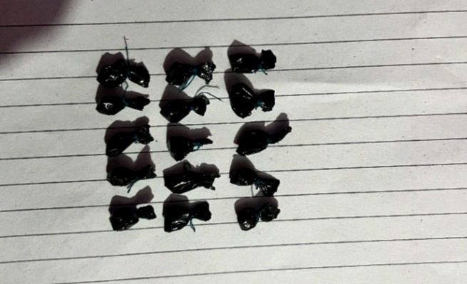 सल्यानमा ब्राउनसुगर सहित चार युवा पक्राउ