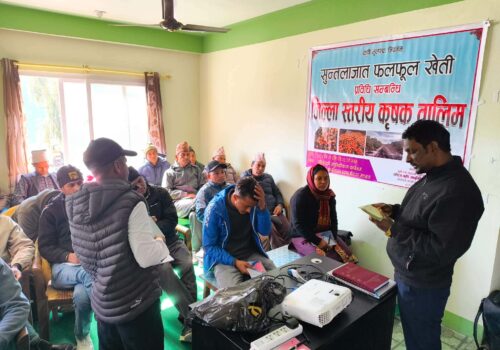 सल्यानमा अगुवा किसानका लागि सुन्तलाजात फलफूल खेती प्रविधि सम्बन्धी तीनदिने तालिम संचालन